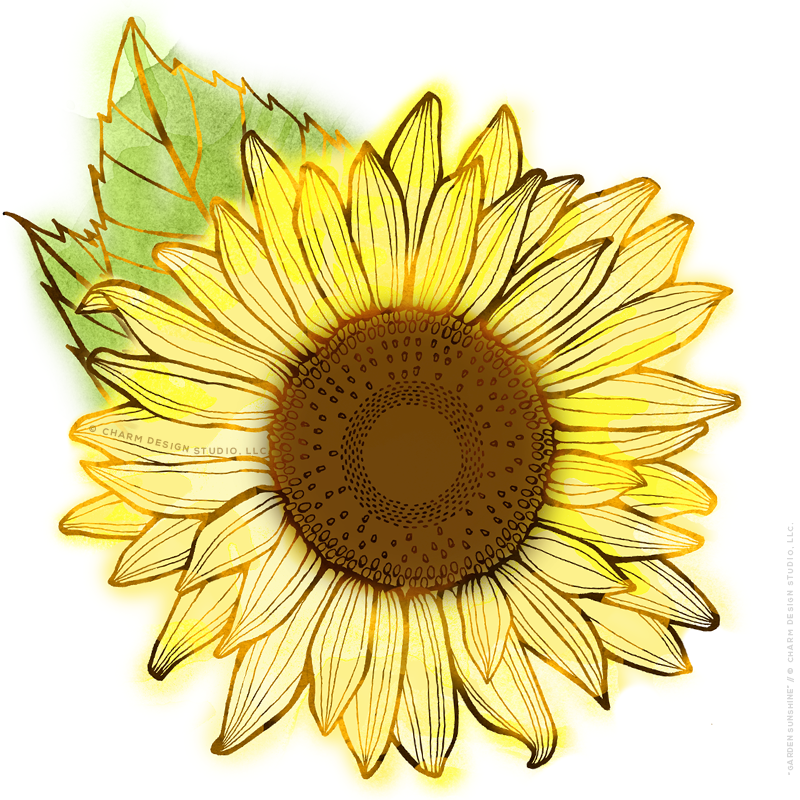 Garden Sunshine - floral collection by Charm Design Studio