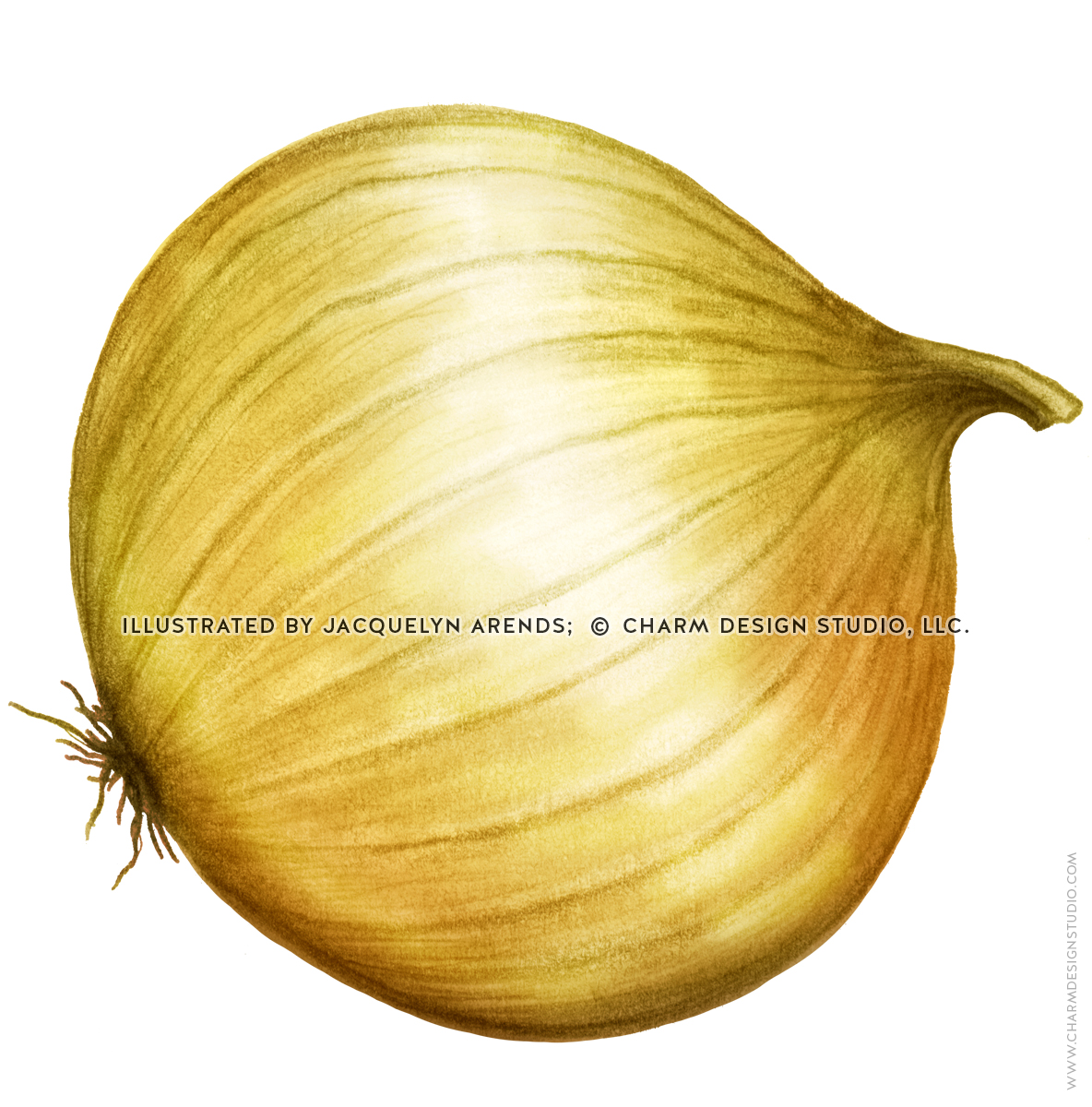 Food Illustrations by Jacquelyn Arends, © Charm Design Studio, LLC.