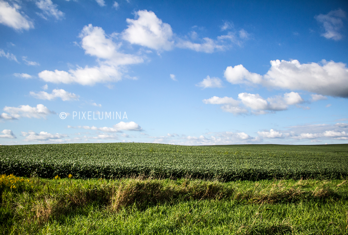 August Field; © Pixelumina